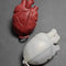 3D Body Heart